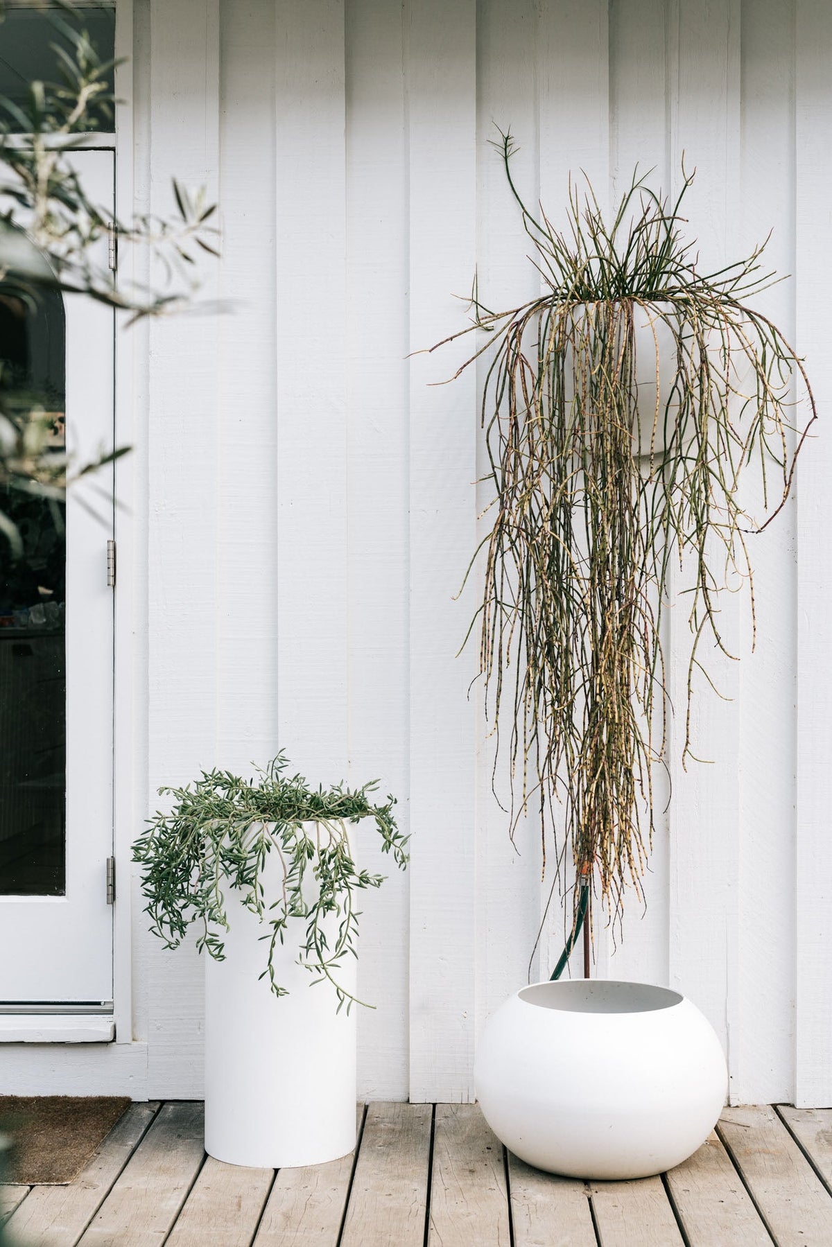 Planters